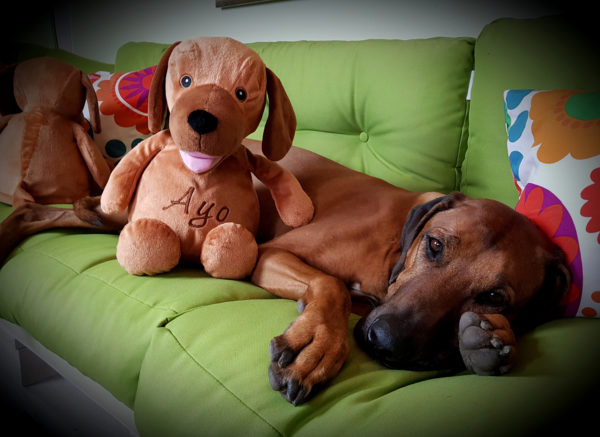 Rhodesian Ridgeback Soft Toy Dog – Bild 2